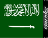 [RE]saudi ksa green