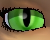 Green Cat Eyes (F)