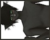 Black Furry Cat