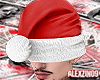 Xmas Beanie 1/4
