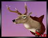 Deers Head - Mounted -