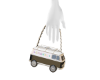 CC Van Bag