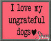 I love my Ungrateful Dog