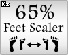 Scaler Feet 65%