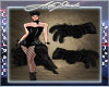 AS* Burlesque Black Brac