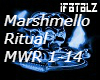 *Marshmello-Ritual*