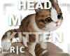 R|C Cat On Head M