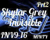 Skylar Grey Invisible p2