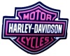 Harley Davidson Logo 3