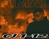 Timal - Comme Jimmy