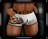 Sexy Tiger Boxer Briefs