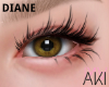 Aki Dear Diane Lash 4