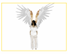 White & Gold Wings