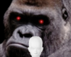 Gorilla red eyes bg