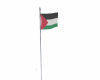 Palestine flag