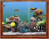 wall size fish tank