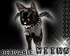 [W] Wing's Cat