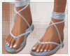 Palm Paradise B