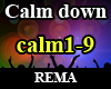 Calm down Remix