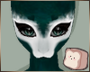 ⊹ Amists Brows V1
