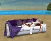 white purple couch 8p