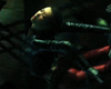 Jue's Dive