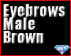 Eyebrows Male Brown