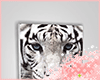 J+ Tiger canvas
