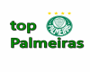 top Palmeiras