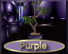 [my]Purple Bonzai Tree