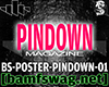 BS-Poster-PindownMag-01