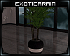 !E)Serenity: Plant