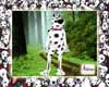 Funny Dalmatier Dog AVI