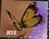 D*derv:Butterfly