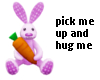 *PFE Hug Me Bunny Lilac