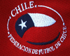 stilers Chile mundial de