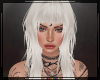 + Meow Nordic