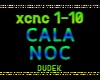 CAŁĄ NOC
