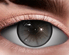 金 Stone Eyes
