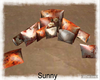 *SW* Harvest Pillows