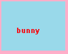 Animated bunny