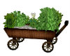 wagon plant