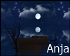 Night moon lake