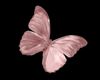 Pink Butterflies Flying