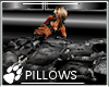 WS ~ Industrial Pillows