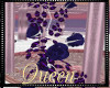 !Q D Purple Rose Ivy