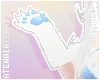 ❄ Fur Paws Blue