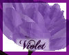 (V) Glass Purple Rose
