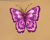 [MK]  butterfly t7