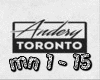Andery Toronto - money